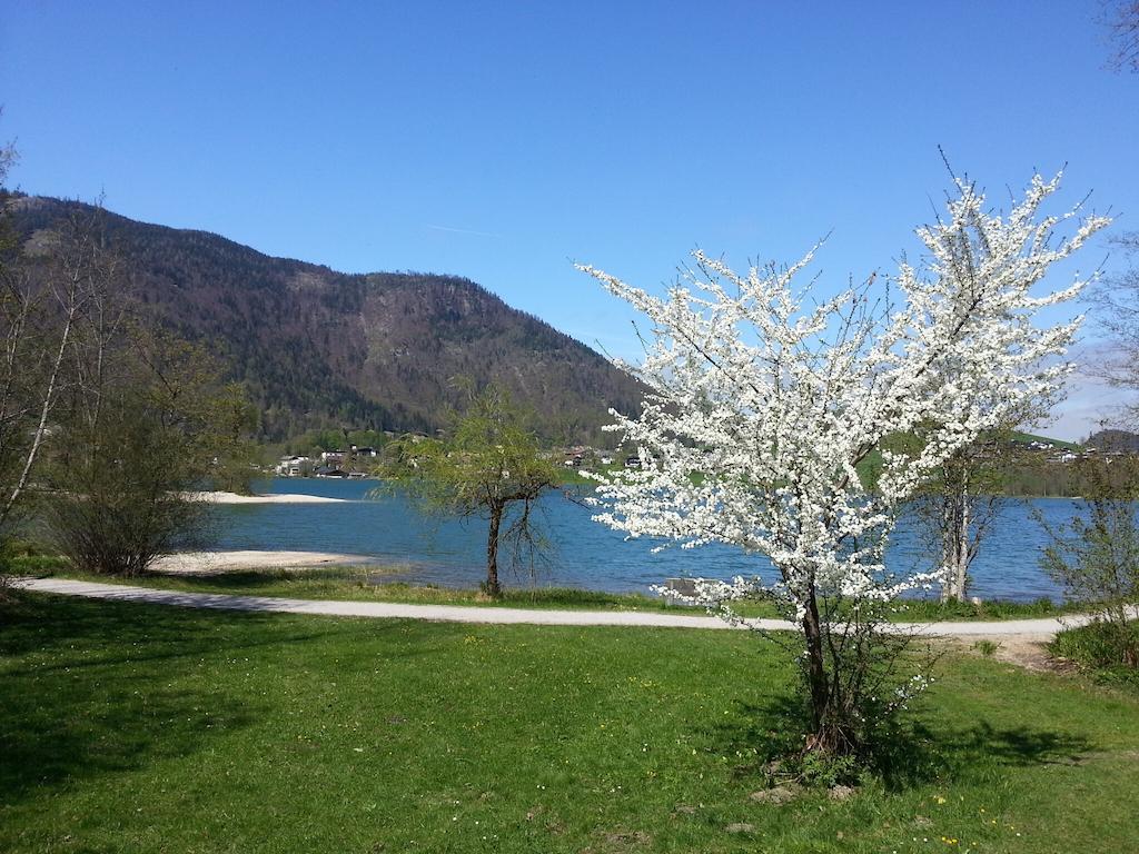 Buchauer-Tirol / Landhaus Buchauer Thiersee Εξωτερικό φωτογραφία